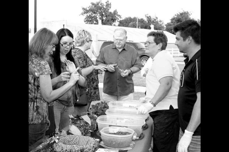 21 vendors to share their wine, chocolate during Hennessey’s festival this Saturday