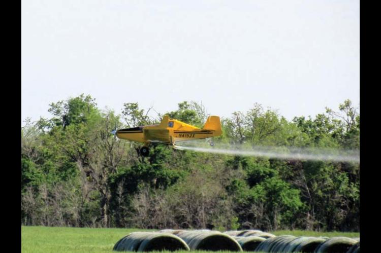 Rain moves wheat tour inside; cooler temperatures aid crops