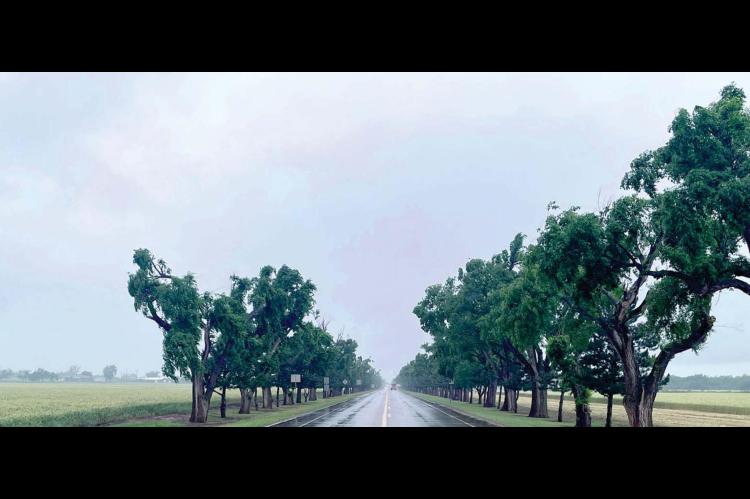 Memory Lane still leads the way