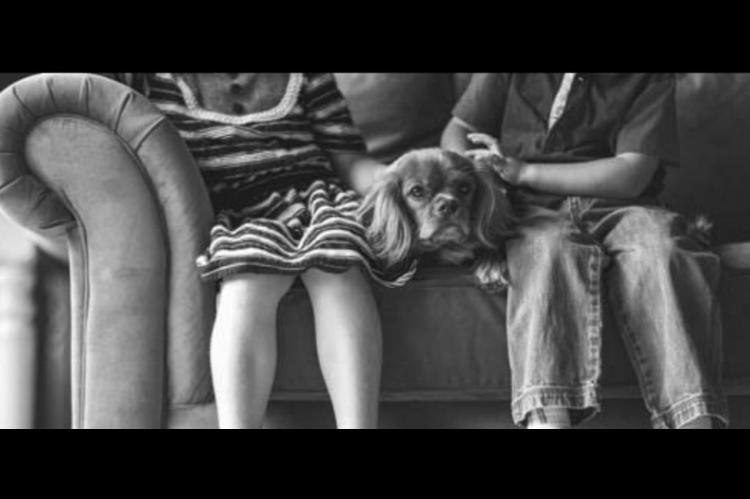 Pet Talk: Introducing pets to unfamiliar holiday guests