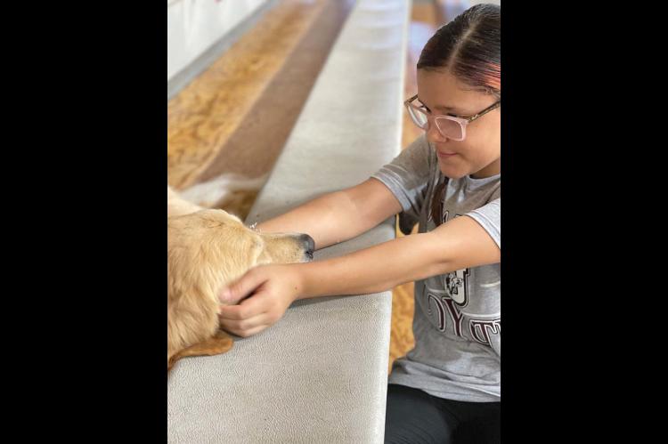 THE KINDEST HEARTS ARE Golden