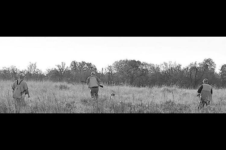 2021 Grand National Quail Hunt held at Cline Ranch near Hennessey