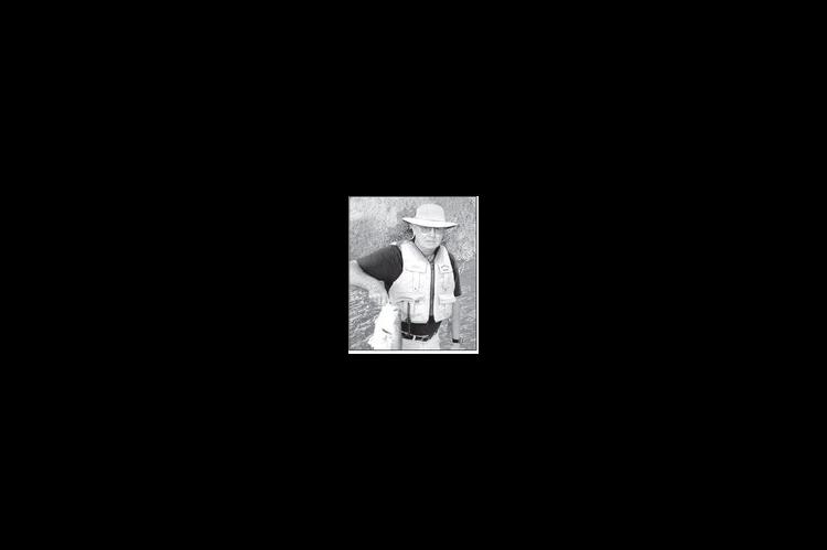 Alt Text for Image