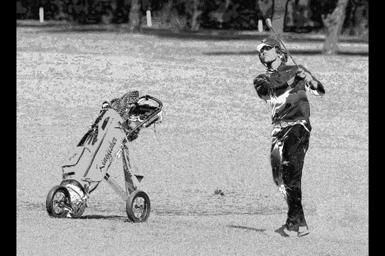 Yellowjackets dominate qualifier 