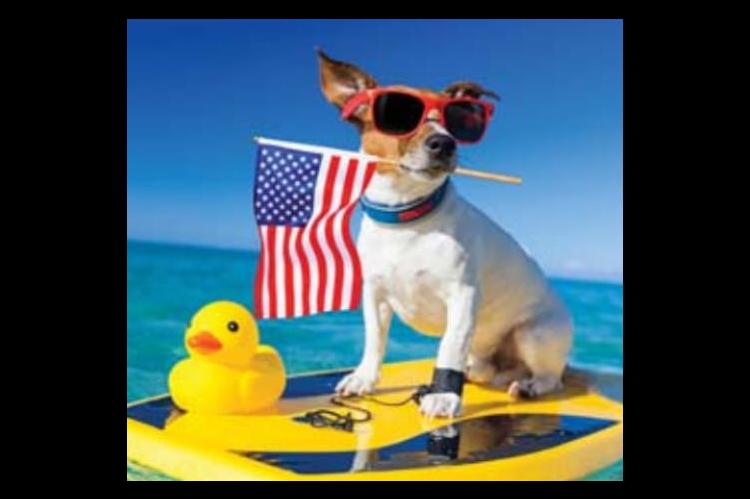 KEF duck race set Wednesday