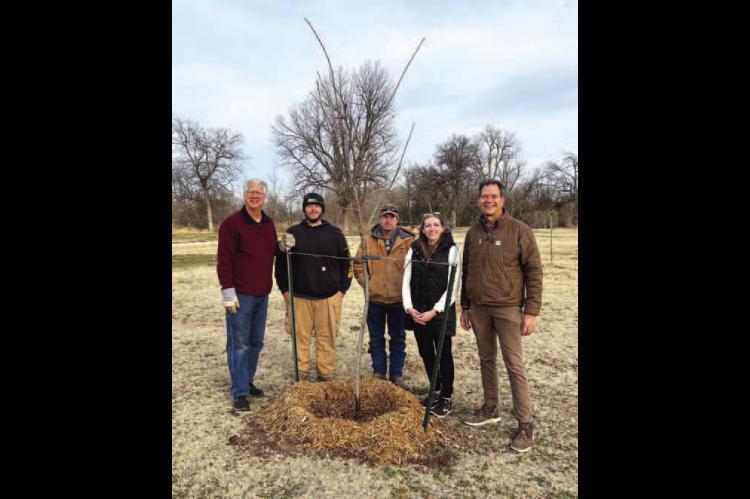 Trails &amp; trees: Arboretum nearly complete