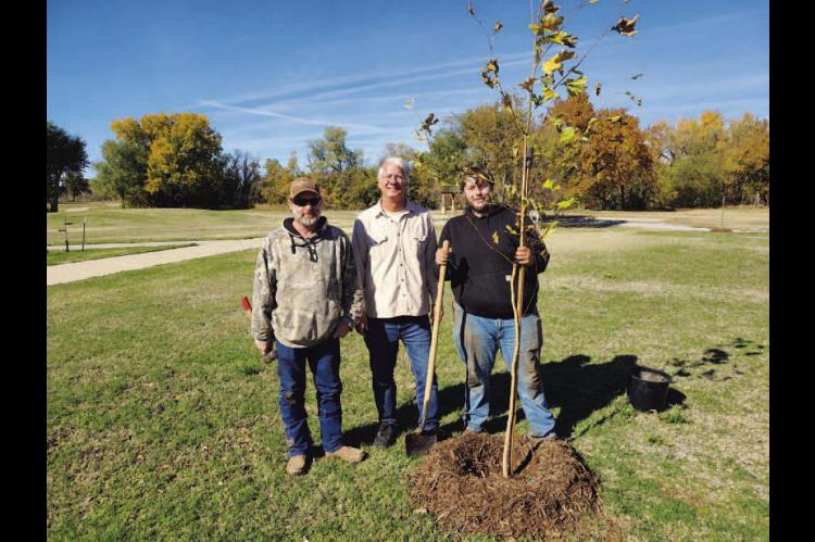 Planting in the Park