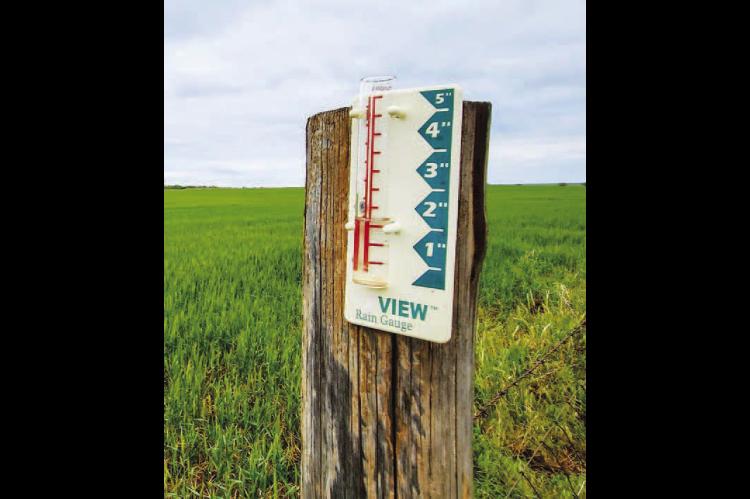 Welcome View