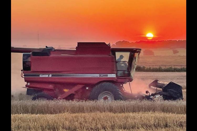 Sun nearly set on 2021 harvest