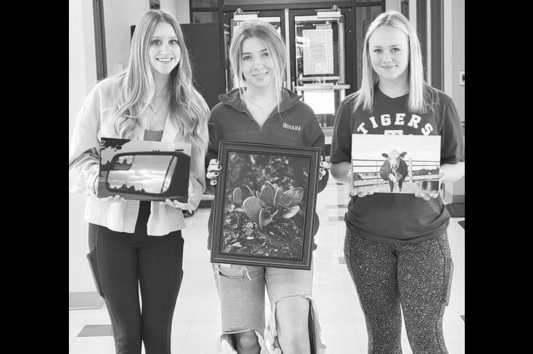 Cashion names monthly photography winners