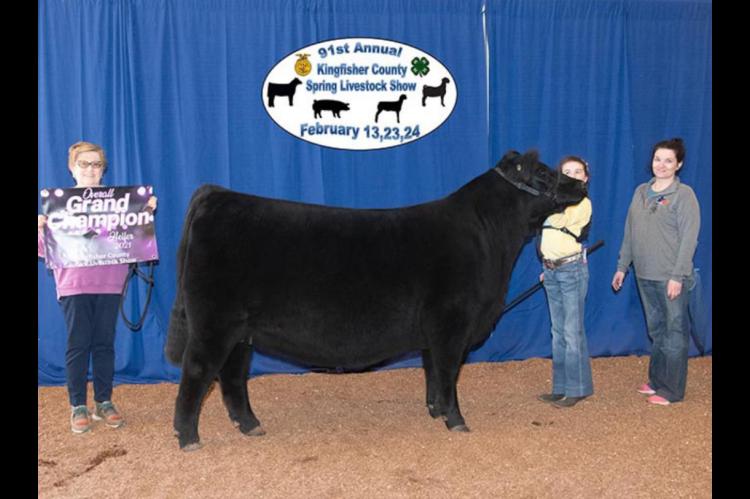 COUNTY SPRING STOCK SHOW RESULTS