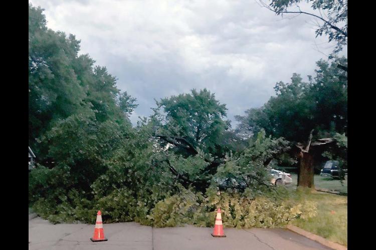 Monday night storm brings rain, wind damage to area