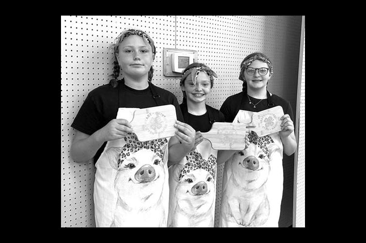 Kingfisher County 4-H Food Showdown and Cupcake Wars