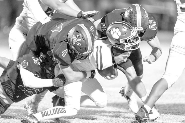 Bulldogs impounded