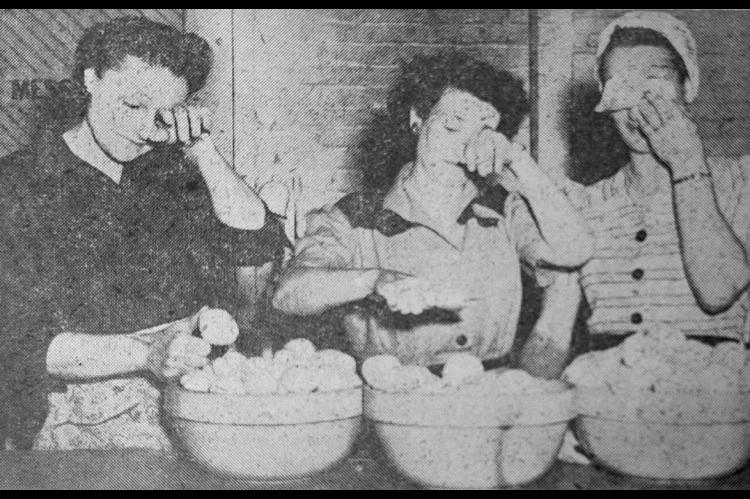 Peeling 200 pounds of onions is enough to bring tears to anyone’s eyes. Three of the nearly 50 ladies from county home demonstration clubs who helped prepare and serve the Kingfisher County Coyote Roundup club barbecue food are pictured above with some of the onions. They are, left to right, Mrs. E.R. Simmons, Mrs. C.M. Dunkelberger and Mrs. L.L. Burdick. They are from the Reeding-Cashion area. (Times, March 8, 1951)