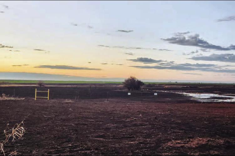 ONE EXTREME TO THE NEXT – This patch of land is about seven miles east of Kingfi sher near the Big Four turnoff. In the middle of the week, it was burned by wildfi res after months of drought-like conditions. By the end of the week, it had standing water after several inches of rain fell in the county. [KT&FP Photo by Twila Adams]