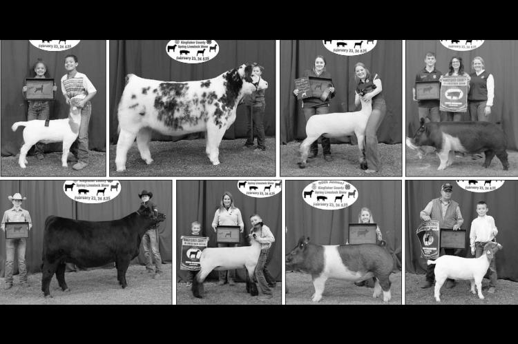 County Spring Livestock Show results listed