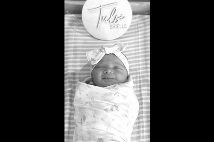 Tulsi Brielle Spurrier