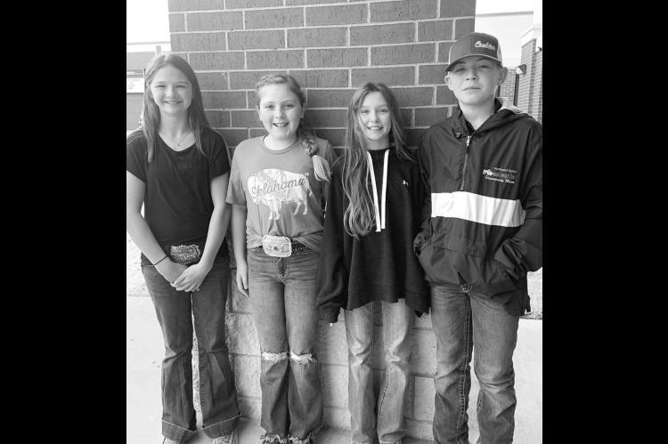 Local 4-H teams, individuals shine at judging competition