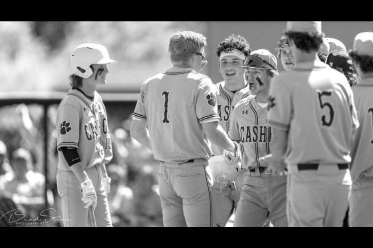 ‘Cats bats too much for Am-Po