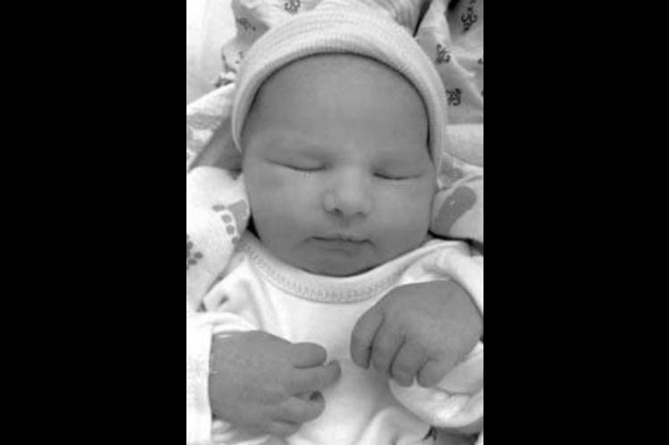 Vivian Ligouri Ingle
