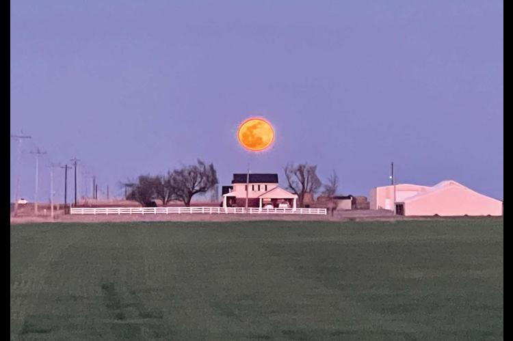 A Big Moon on the Rise