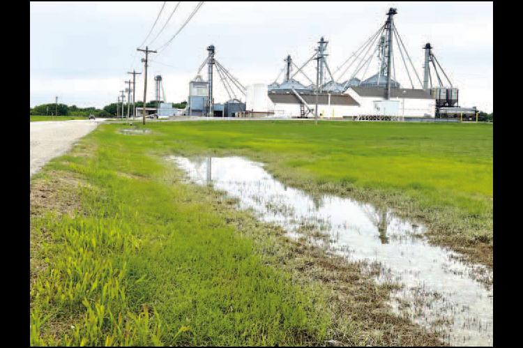 DITCHES weren’t overflowing Friday morning, but certainly saturated after another bout of rain in the early morning hours. More than seven inches have fallen here in the last week and more rain is forecasted for this week. [KT&amp;FP Staff Photo]