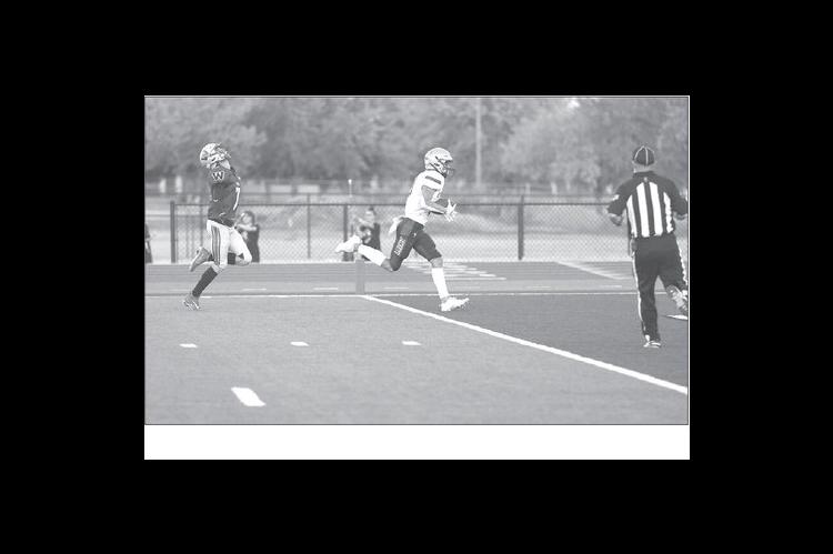 Strides in different directions