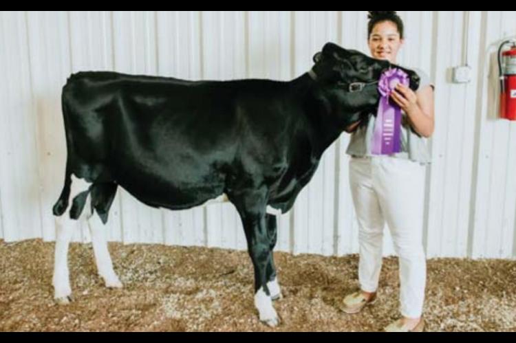kingfisher County Fair Livestock show winners