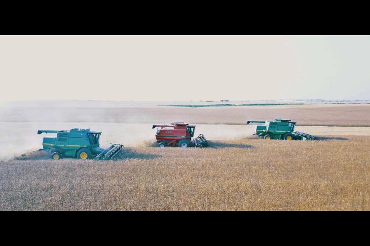 2021 Harvest in full swing; yields high