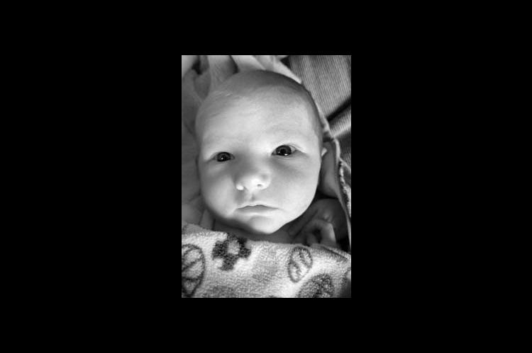 Oliver Ambrose Ingle