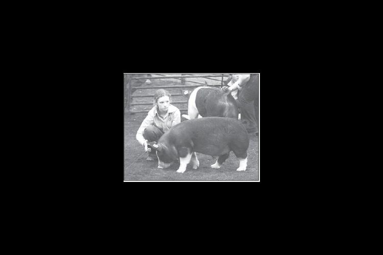 Scenes from the 95th Kingfi sher County Spring Livestock Show featuring local FFA exhibitors