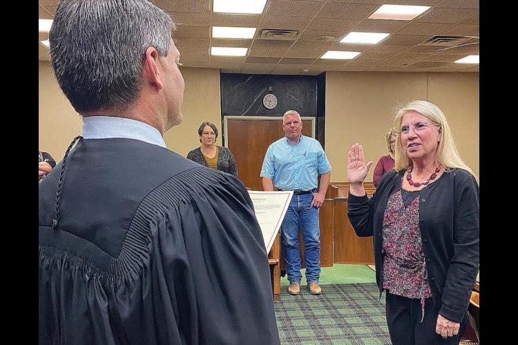 Interim county assessor named