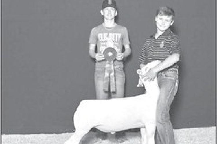 Dover FFA Update