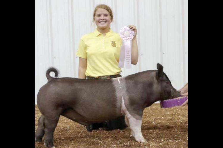 Junior Livestock Show Reserve Grand Champions