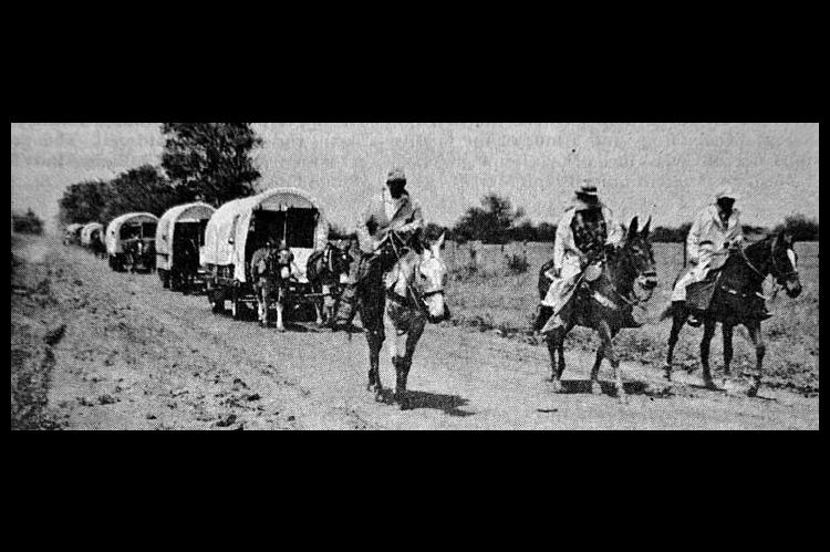 WAGON TRAIN enthusiasts begin one of their daily trail rides. The Territorial Wagon Train includes wagons and riders from several states who camped out across the road from the Sooner Coop and participated in daily trail rides. (KT&amp;FP May 2, 2001)