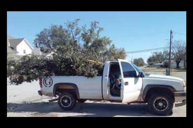 Battling Cleanup