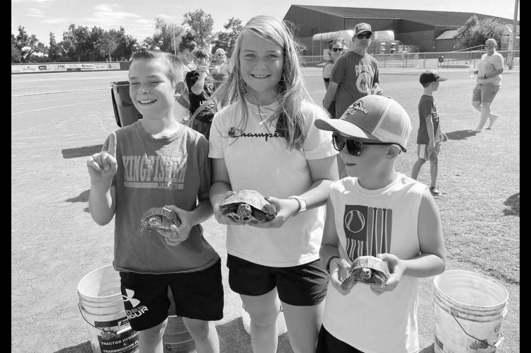 Lions Club’s annual turtle race winners announced