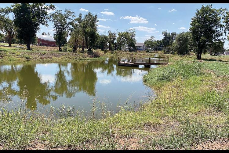 Progress Report: Newfield Park