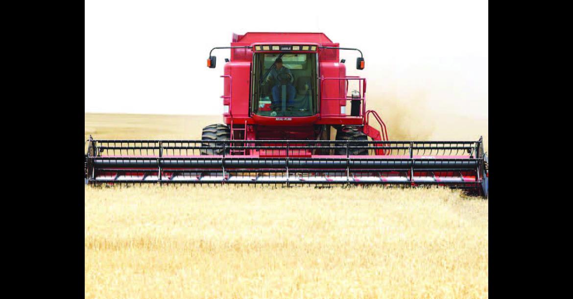 COMBINES were in the fields throughout southern portions of Kingfisher County early in the week, such as this one operated by Kenneth Karrenbrock west of Kingfisher on Monday afternoon. Early-morning showers on Tuesday put a temporary halt to the cutting that had begun. [KT&amp;FP Staff Photo]