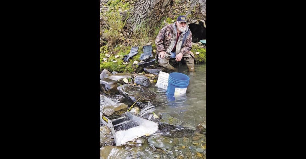 SINCE JOINING his brother Bob on a moose hunting trip in Alaska in 2022, Kelly Buck of Kingfi sher has been making the trek an annual one. Bob (pictured on the left in the photo on the left and also pictured in the photo on the top right) has been living in Alaska since the 1980s. The two have not only enjoyed moose hunting, but also share a hobby of panning for gold. [Photos provided]